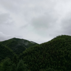 丰满女人吸精合集黄片
